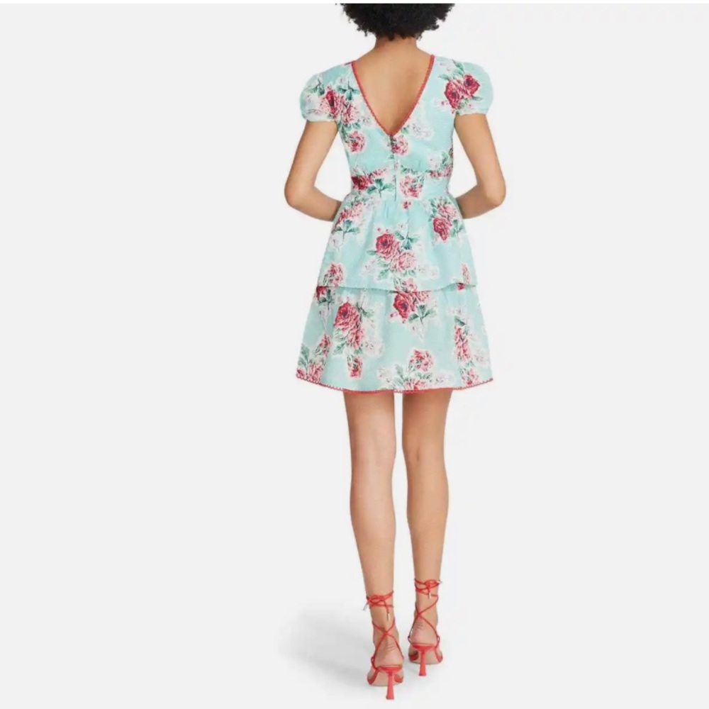 BETSEY JOHNSON Pastel Turquoise Rose Garden Print Seersucker Mini Dress Small - Picture 5 of 7